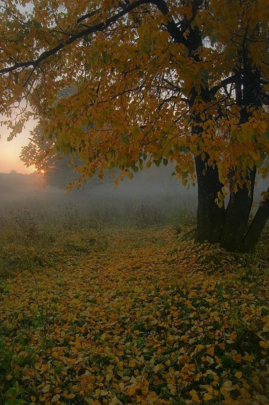 Осенние зарисовки фото превью