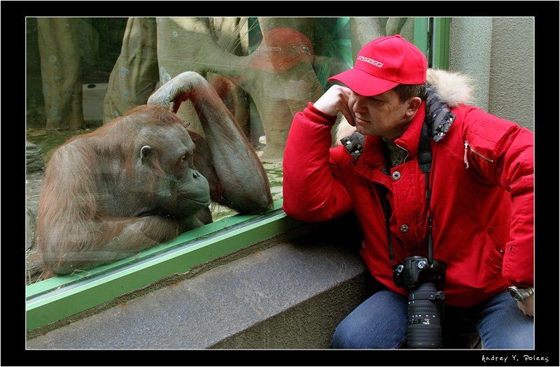 ну что, как будем снимать? фото превью