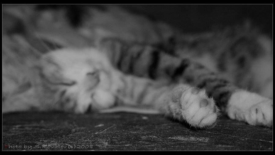 лето, красное, на, печи, пролежала, Сергей