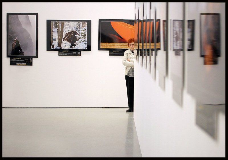 новый_манеж, золотая_черепаха - Хто такие?! фото превью