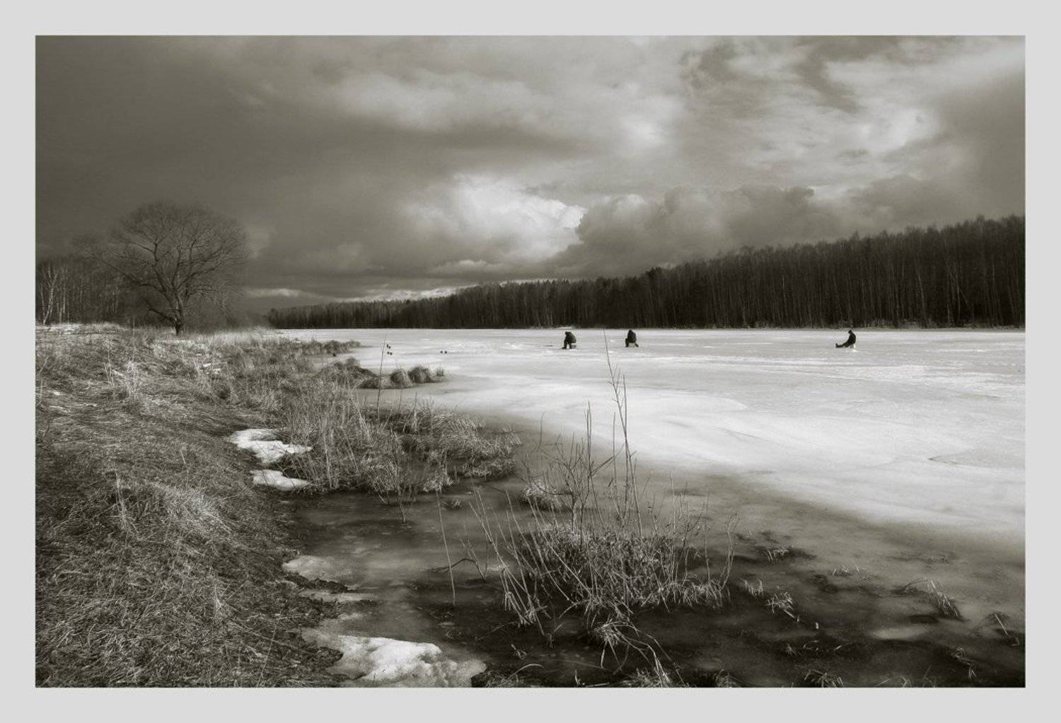 монохром, Сергей Прокошин