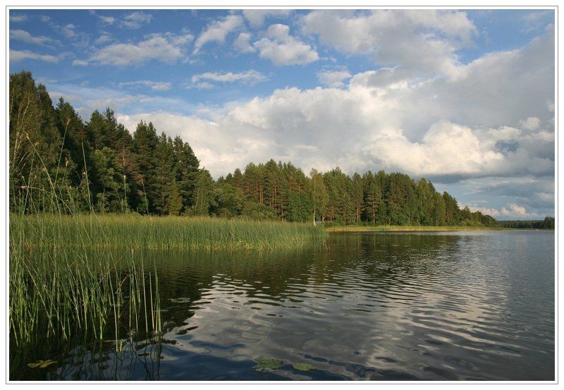 озеро, селигер, вечер, рыбалка Селигерские зарисовки #3 фото превью