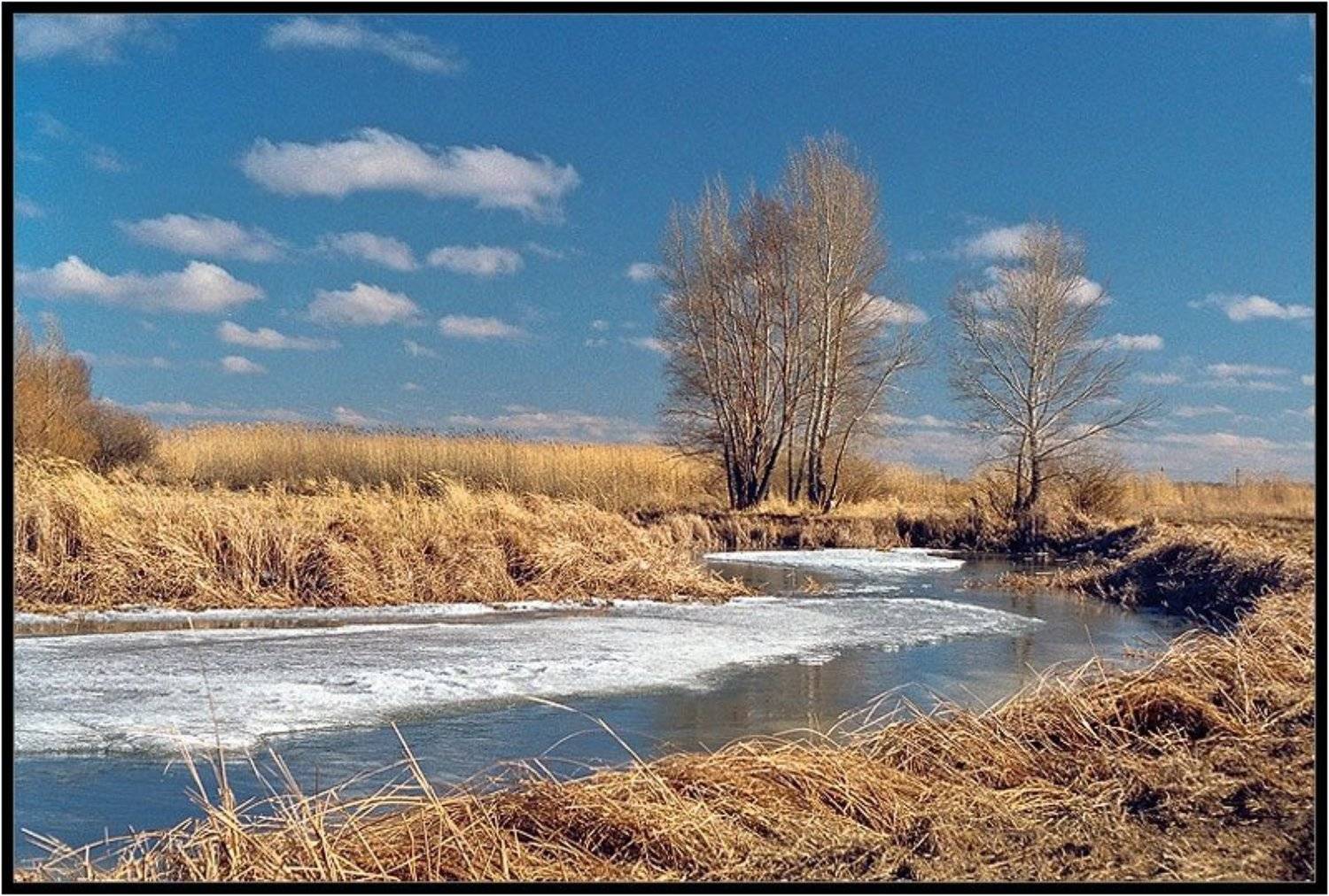 весна,лиман,пейзаж, Качурин Алексей