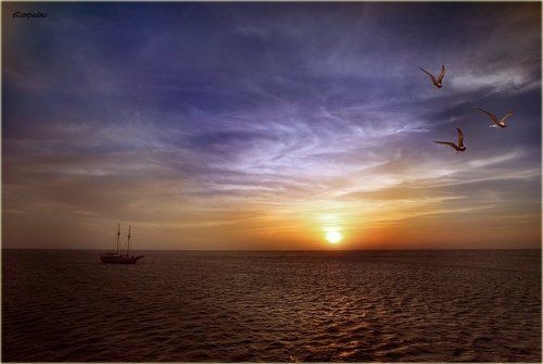 Суданская закатная