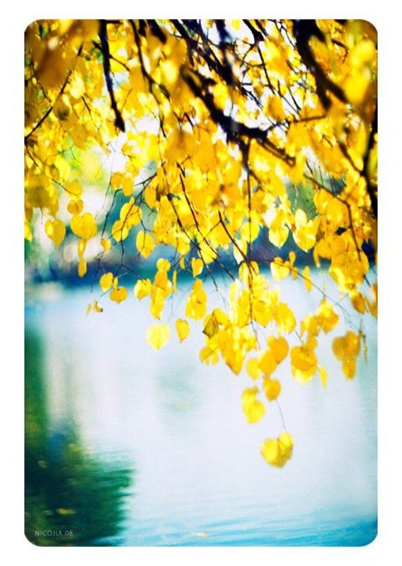 august фото превью