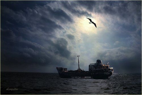 Пираты карибского моря?)