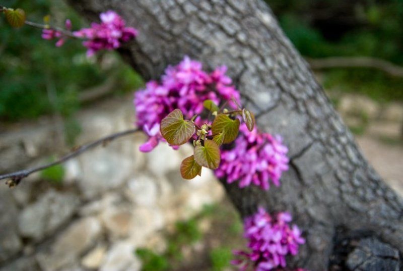 igalsc Новая жизнь фото превью