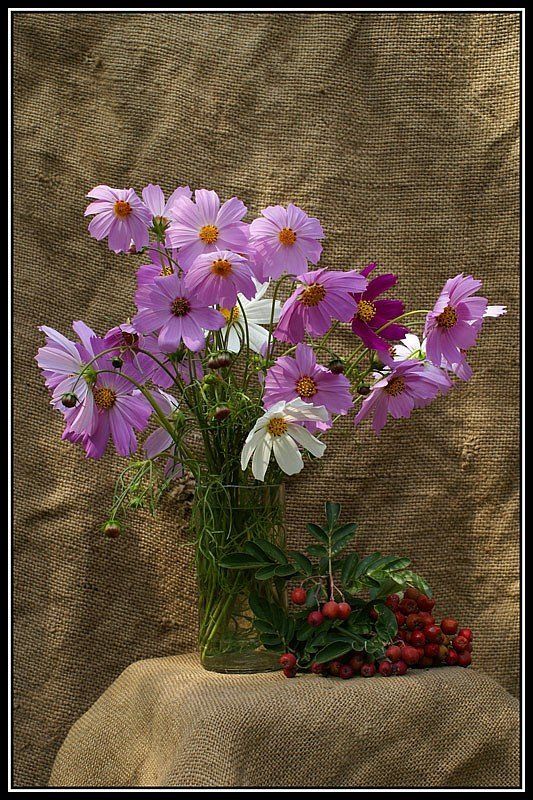натюрморт, ромашка садовая Этюд с букетом ромашек садовых фото превью