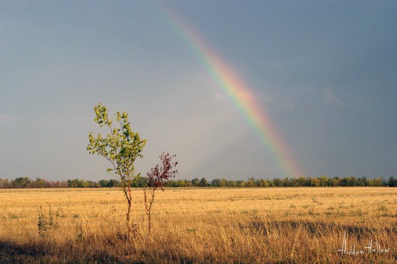 радуга, природа, небо, оеснь Осенняя Радуга фото превью