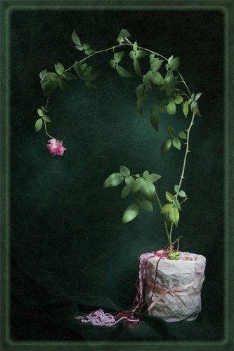 Нежное Одиночество