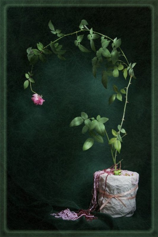 световая кисть Нежное Одиночество фото превью