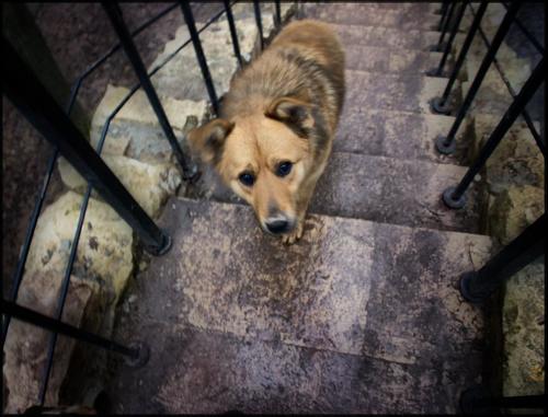 позвольте пройти...