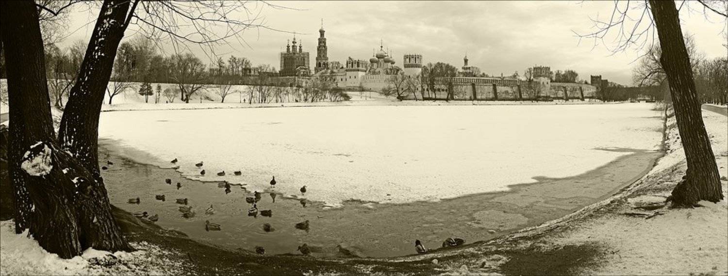 москва, новодевичий монастырь, Байдалов Павел