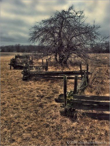 Осень в 2000 лет...