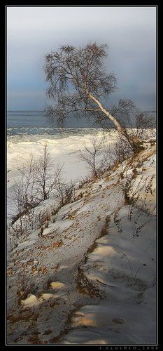 На краю