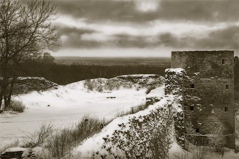 крепость капорье,лес,облака,время Война со врменем фото превью
