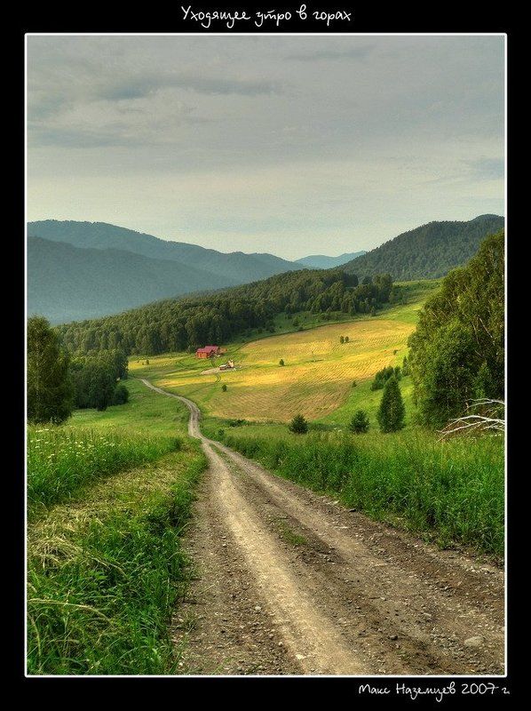 утро, лето, горный алтай, зелень, горы, дорога Уходящее утро в горах фото превью