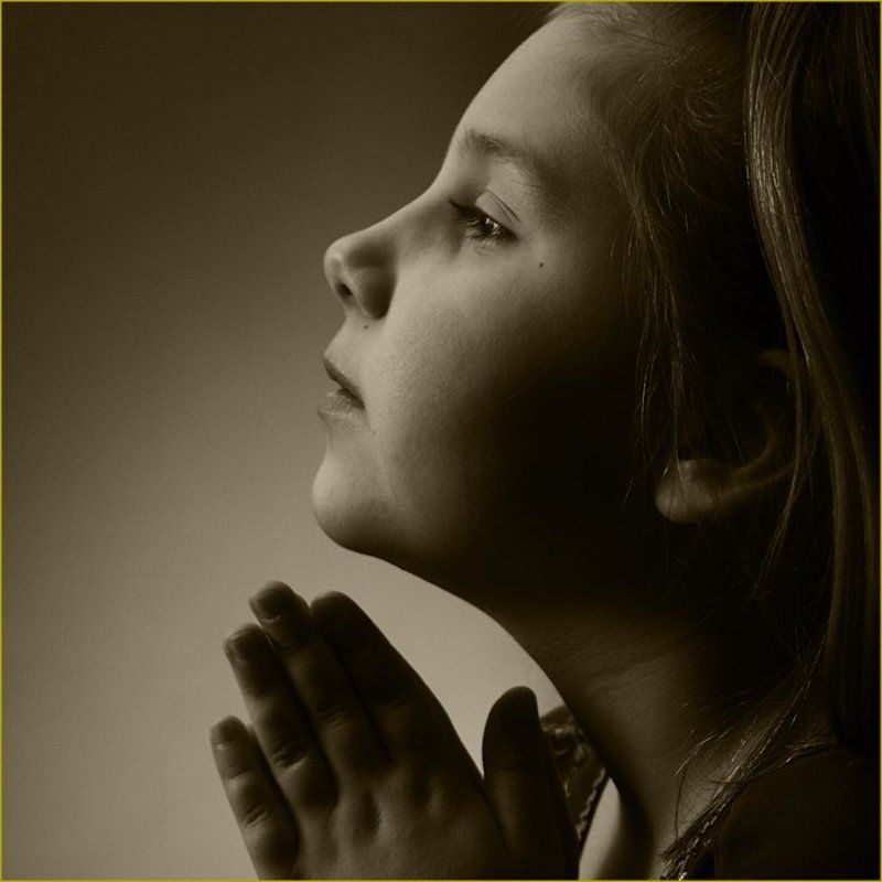 портрет, дети *** фото превью