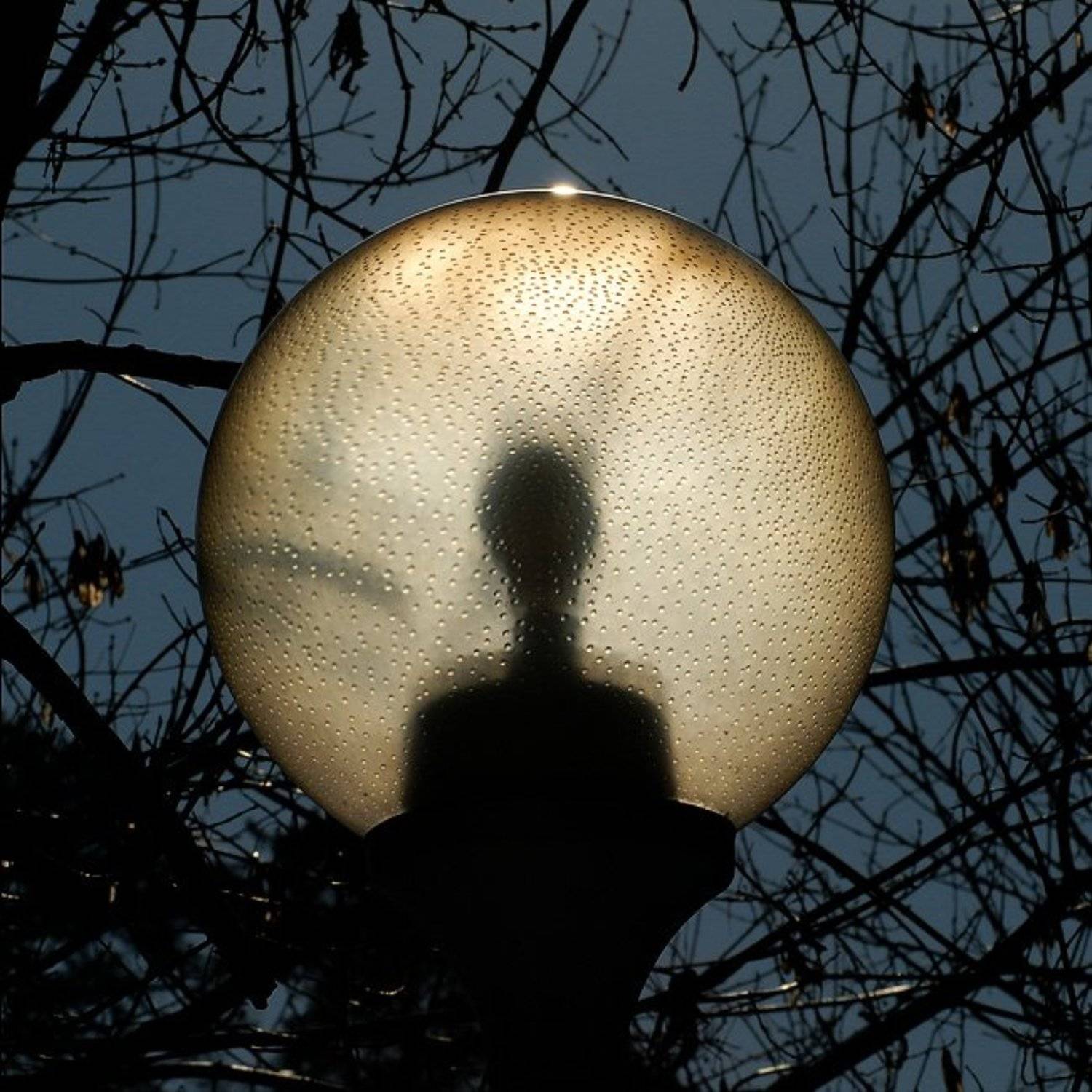 инопланетный гость, Vasiliy