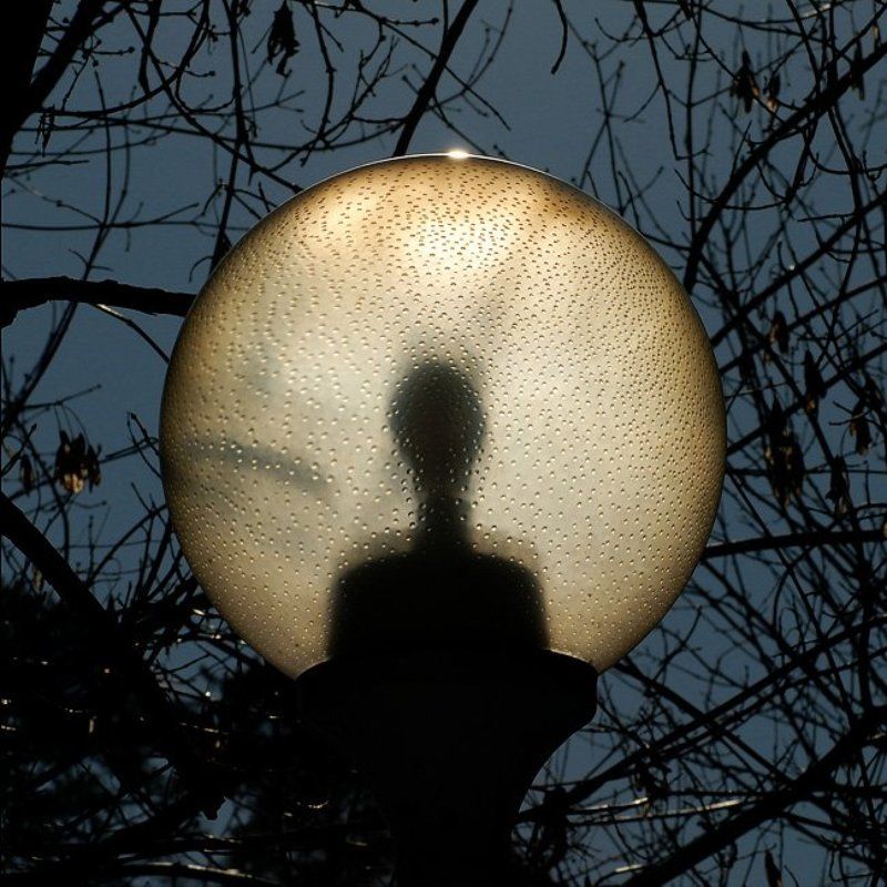 инопланетный гость Инопланетный гость фото превью