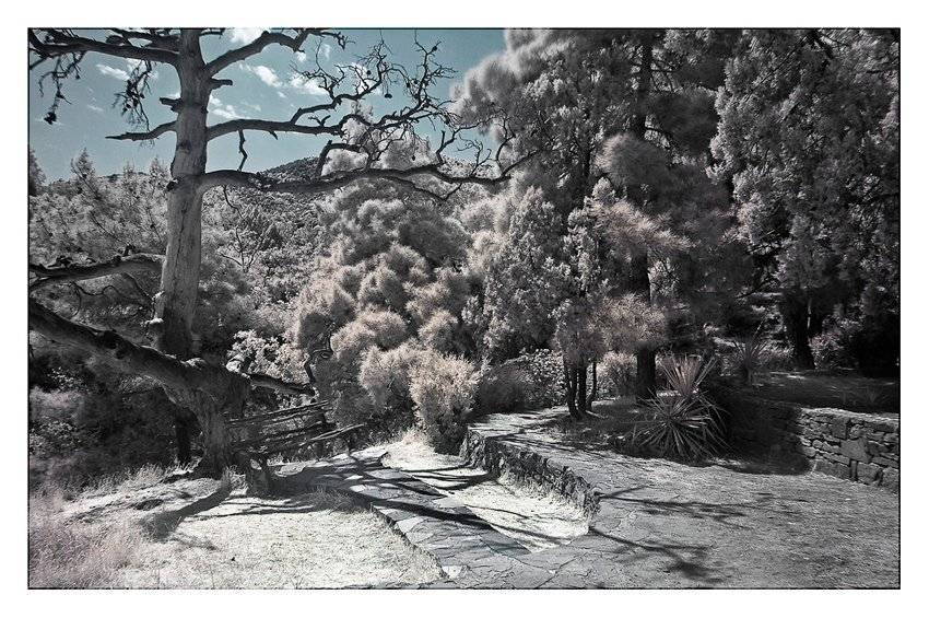 токарь дмитрий, новый свет, Токарь Дмитрий