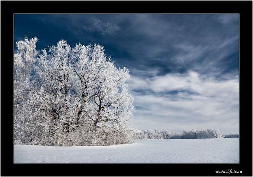 Зимние зарисовки