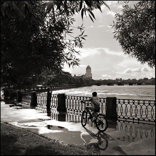 после дождя