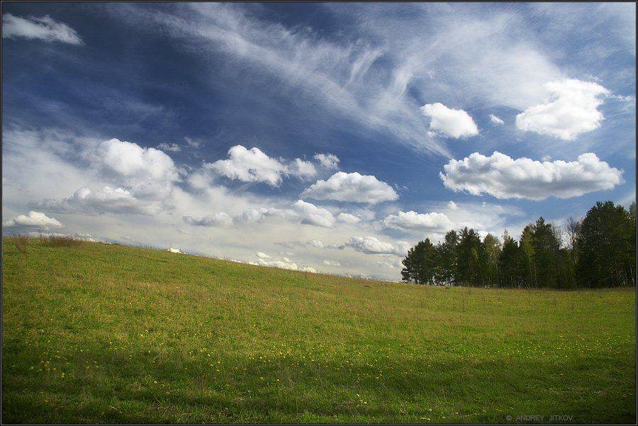 пейзаж, Андрей Житков