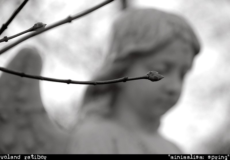 spring, cemetary, gothic, depression Весна фото превью