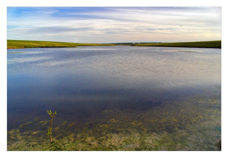 жизнь, смерть жизнь и смерть фото превью