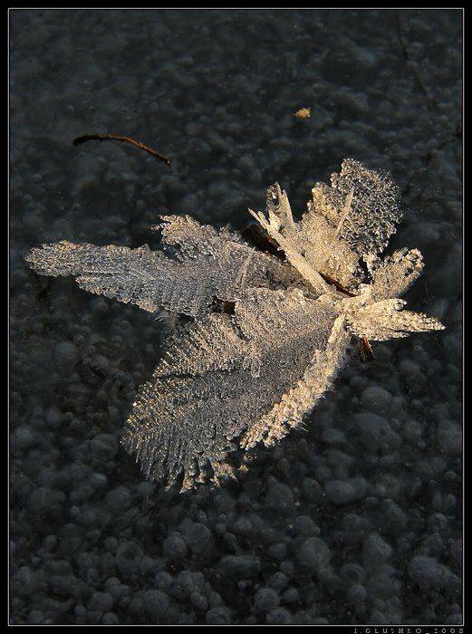 снег, лед. река, брошь, бурятия, Игорь Глушко