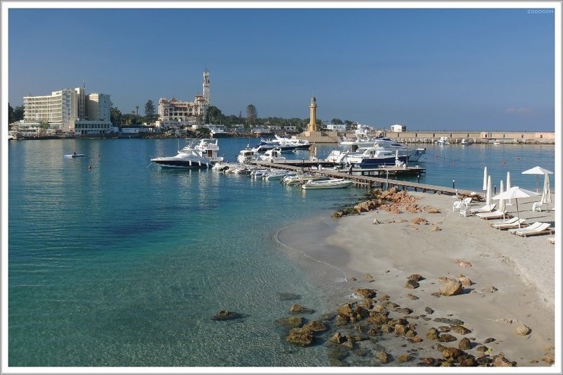 египет александрия Почти райский уголок фото превью