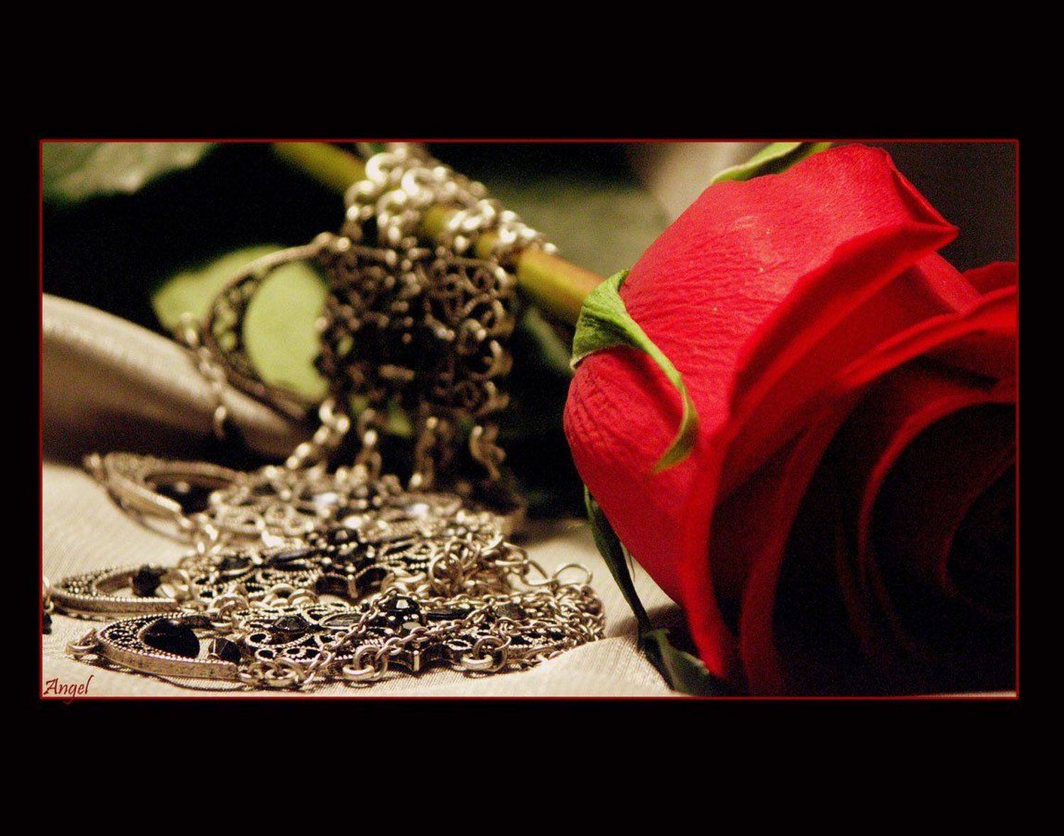 , Наталья Захарова