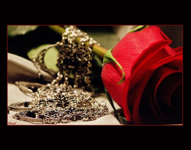 Колье и Роза фото превью