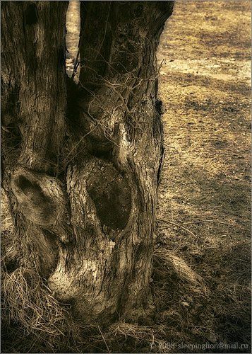 Wrinkles of Nature...