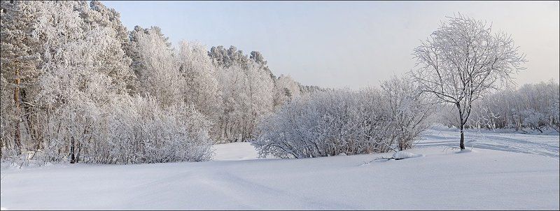 зимний пейзаж фото превью