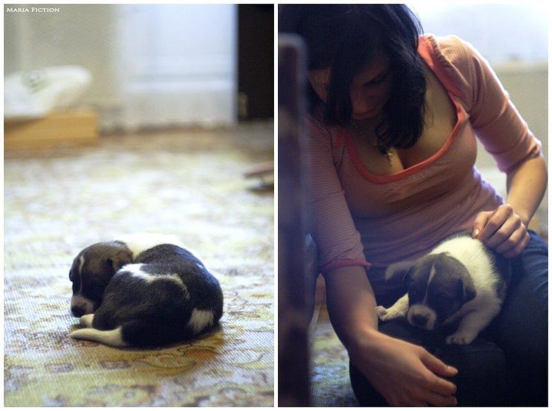 фото превью