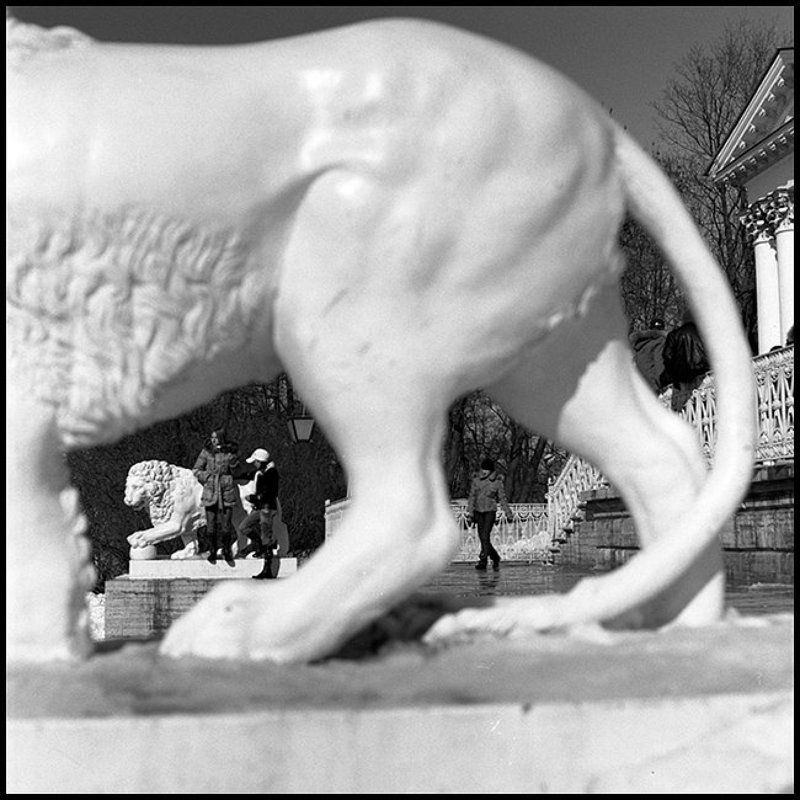 Весна. Елагин. фото превью