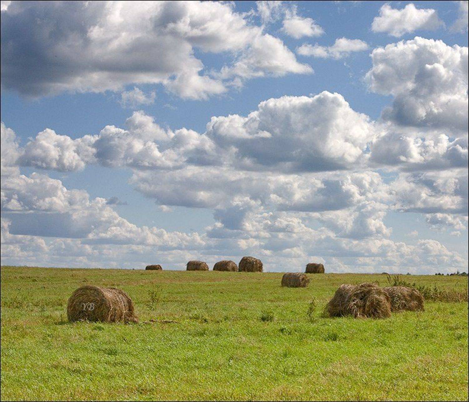 старая ладога, сено, Братаев Юра