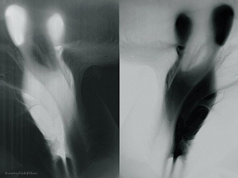 тени а на утро её уже небыло фото превью