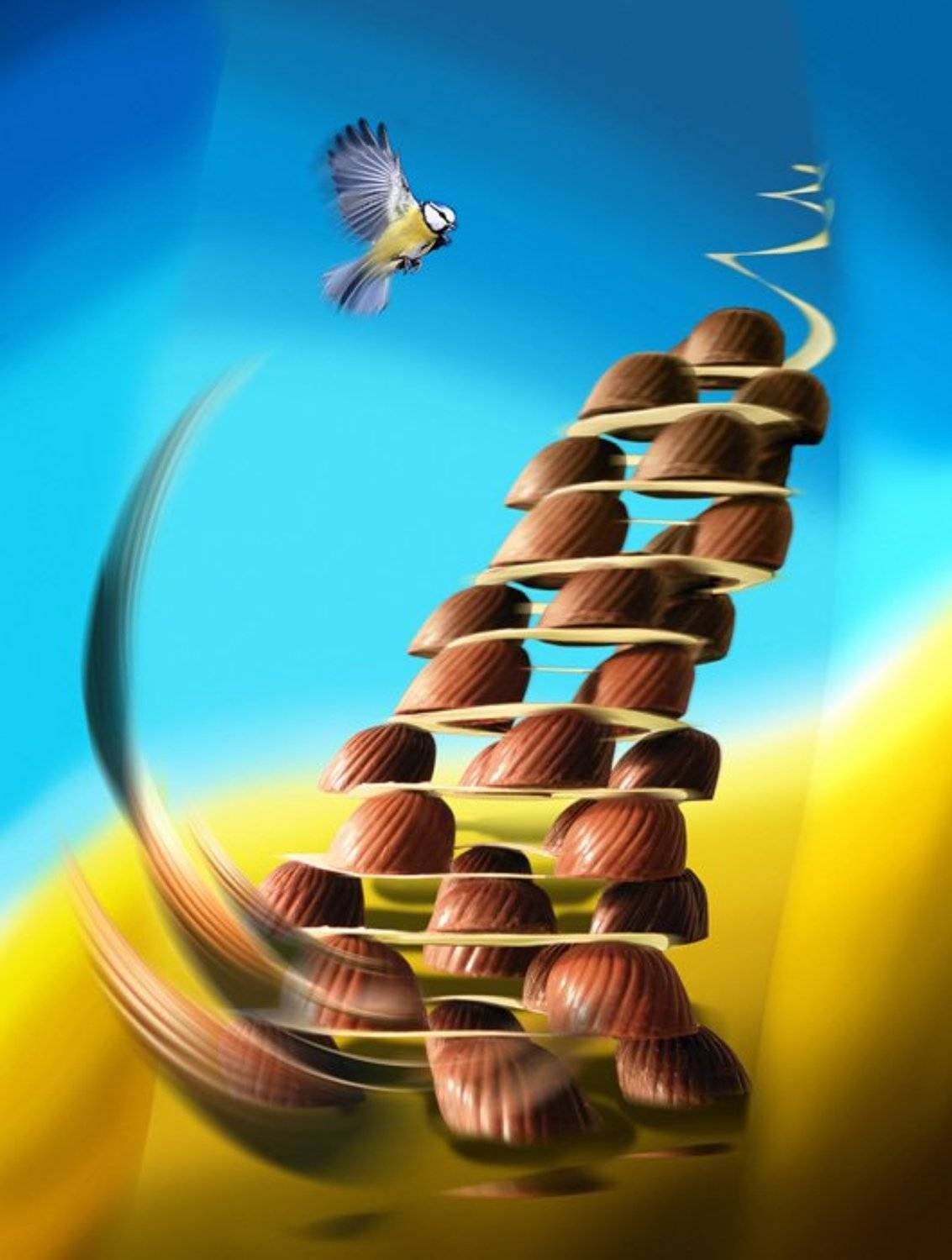 шоколадные сны 2, Света Ошметкова