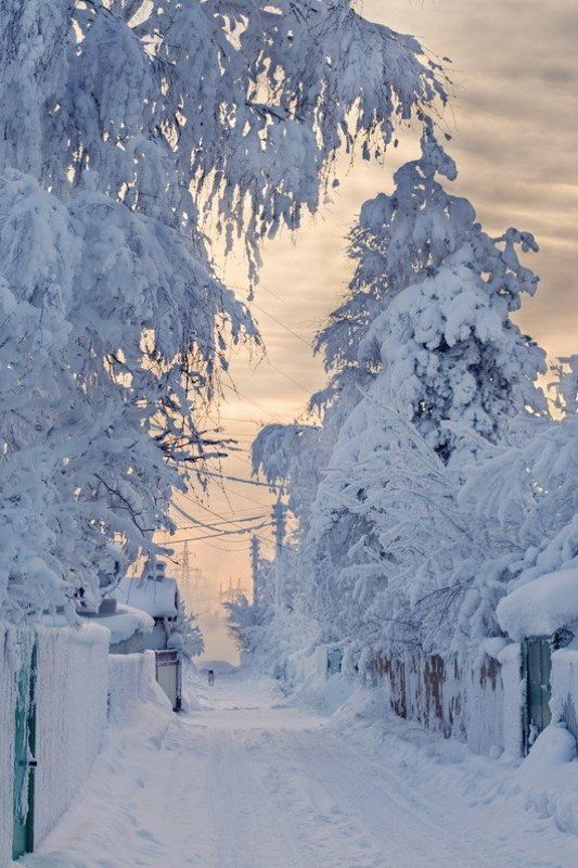 зима фото превью