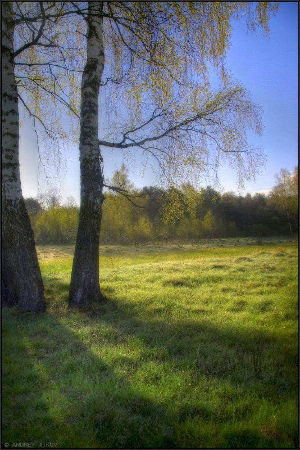 весна, май, утро, пейзаж, Андрей Житков