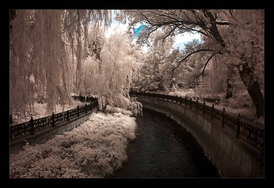 симферополь, токарь дмитрий, Токарь Дмитрий