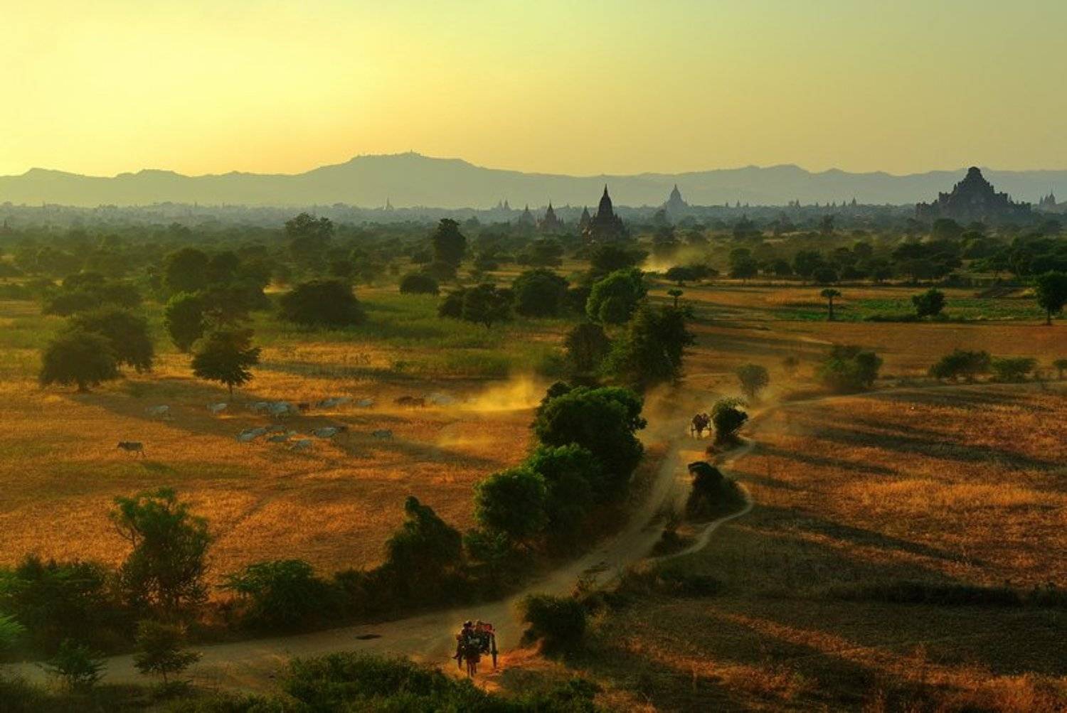 бирма баган, fotomafia