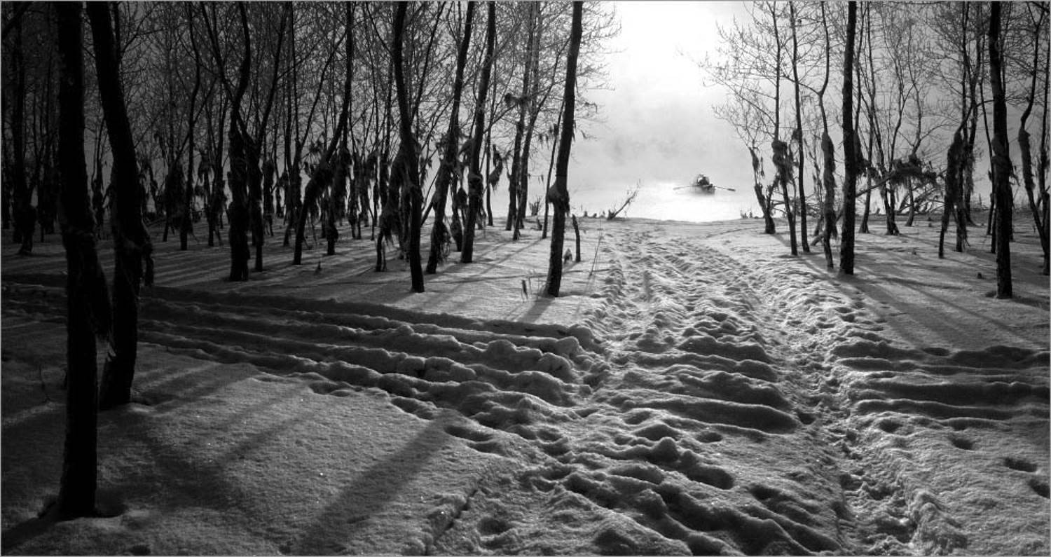 зима кусты снег берег лодка туман, RaaDen