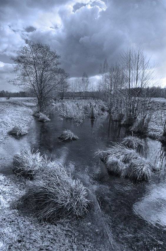 малиновка, токарь дмитрий, Токарь Дмитрий