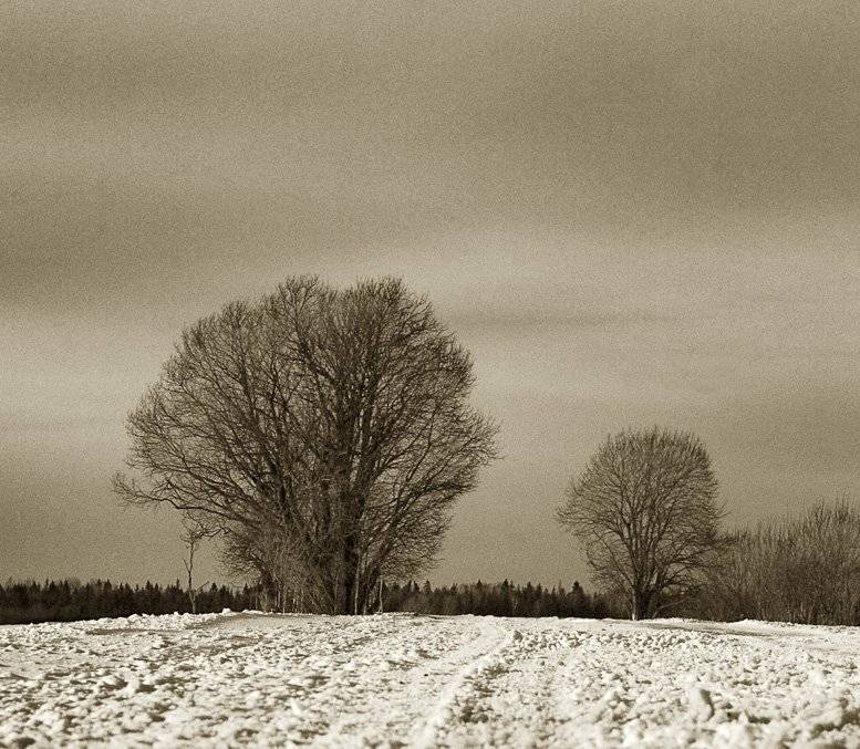 дорога,деревья,небо, Евгений Пугачев.