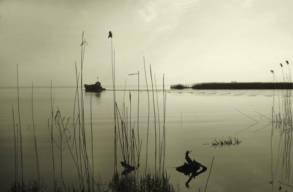 утро, катер, тишина, Павел Дунюшкин