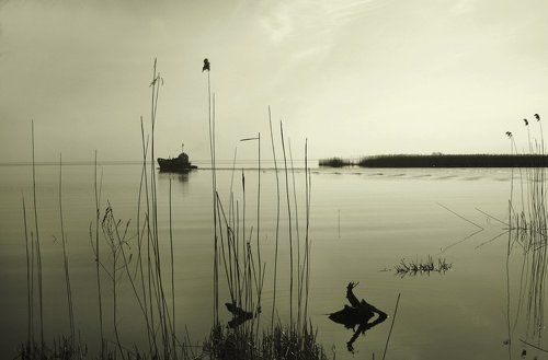 Утро на заливе